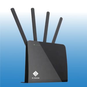 FAV-AX3000-5G